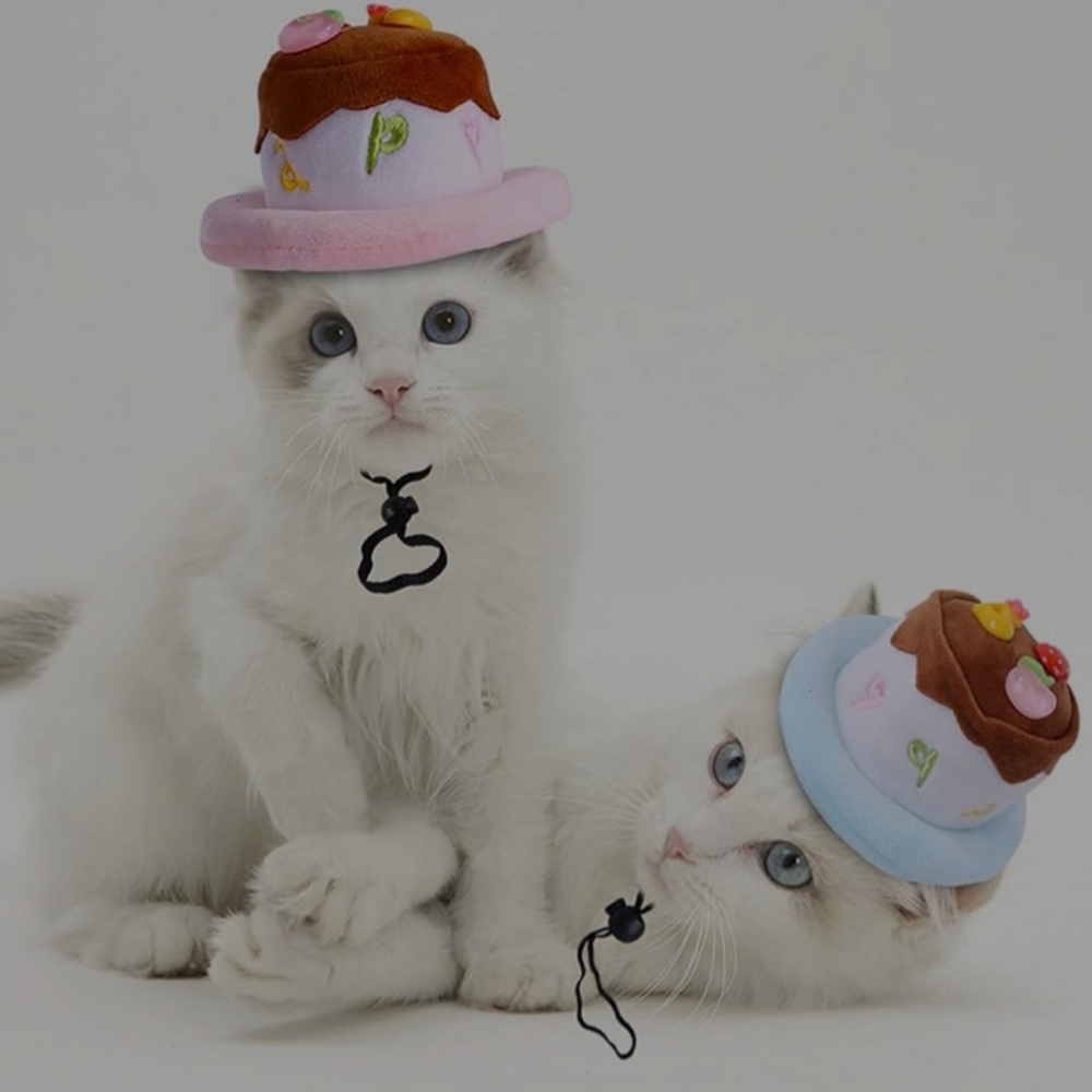 Pets Happy Birthday hat - Picture 1 of 5